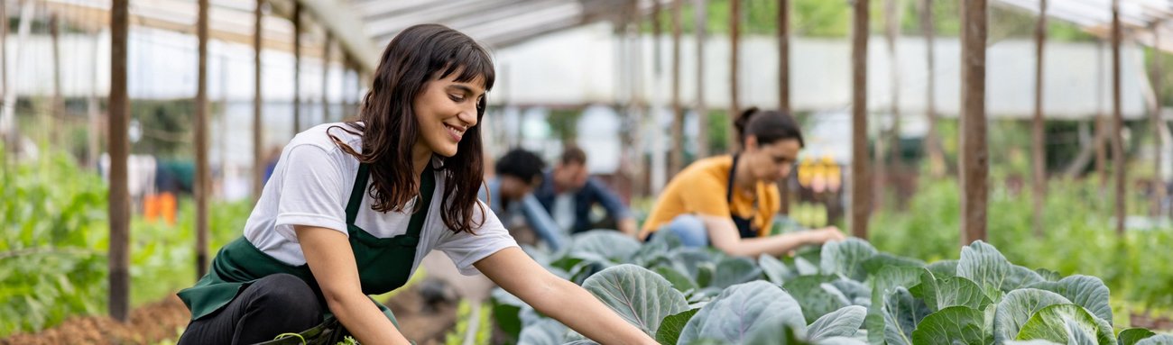 Junge Frauen ernten Gemüse auf einem Feld - die Nachhaltigkeitsinitiative des Markenverbandes